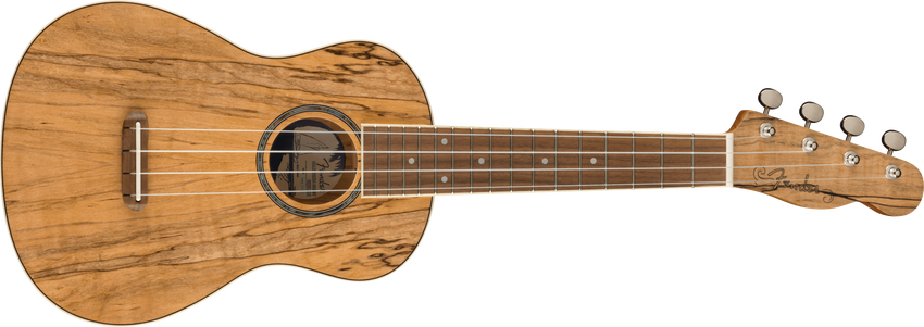 Zuma Exotic Concert 尤克里里